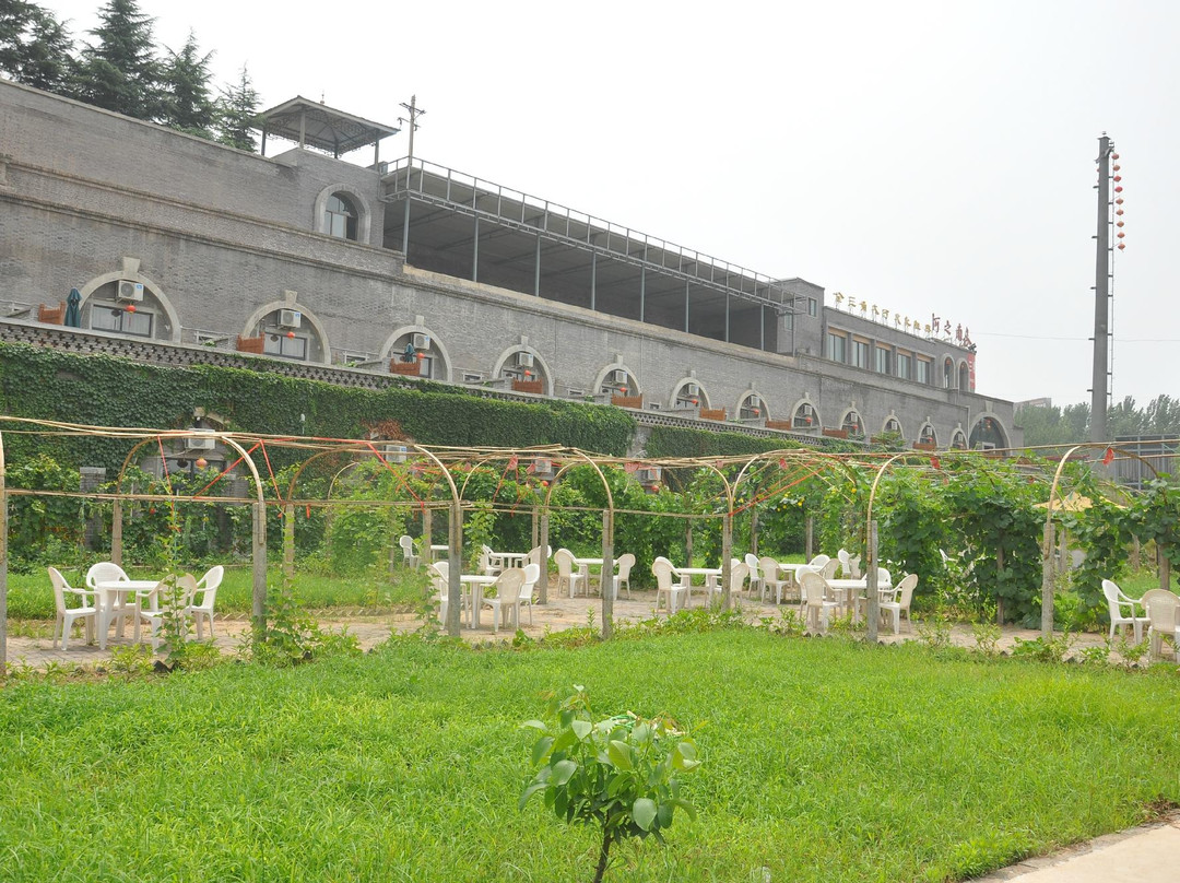 河之南文化酒店主图