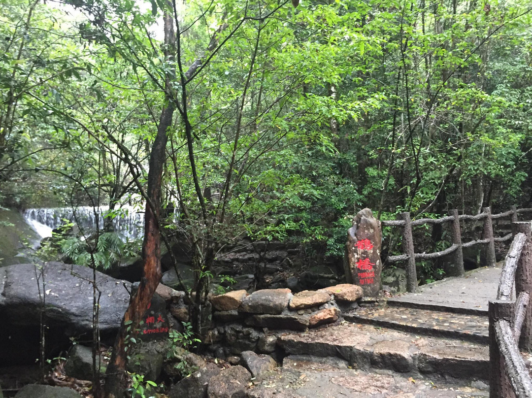 龙川大峡谷景点图片