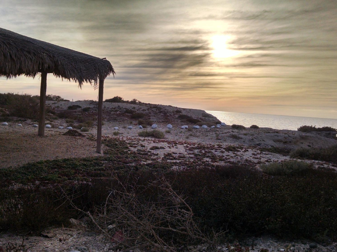 Antonio's Eco Tours Cabanas San Ignacio