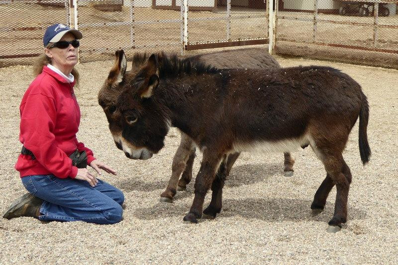 Lucky Three Ranch-拉夫兰必去景点