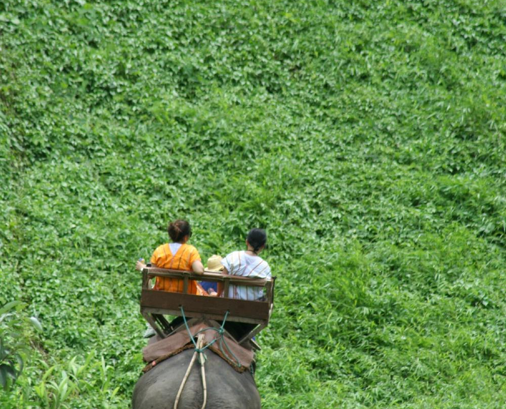 Elephant Life Experience-夜登必去景点