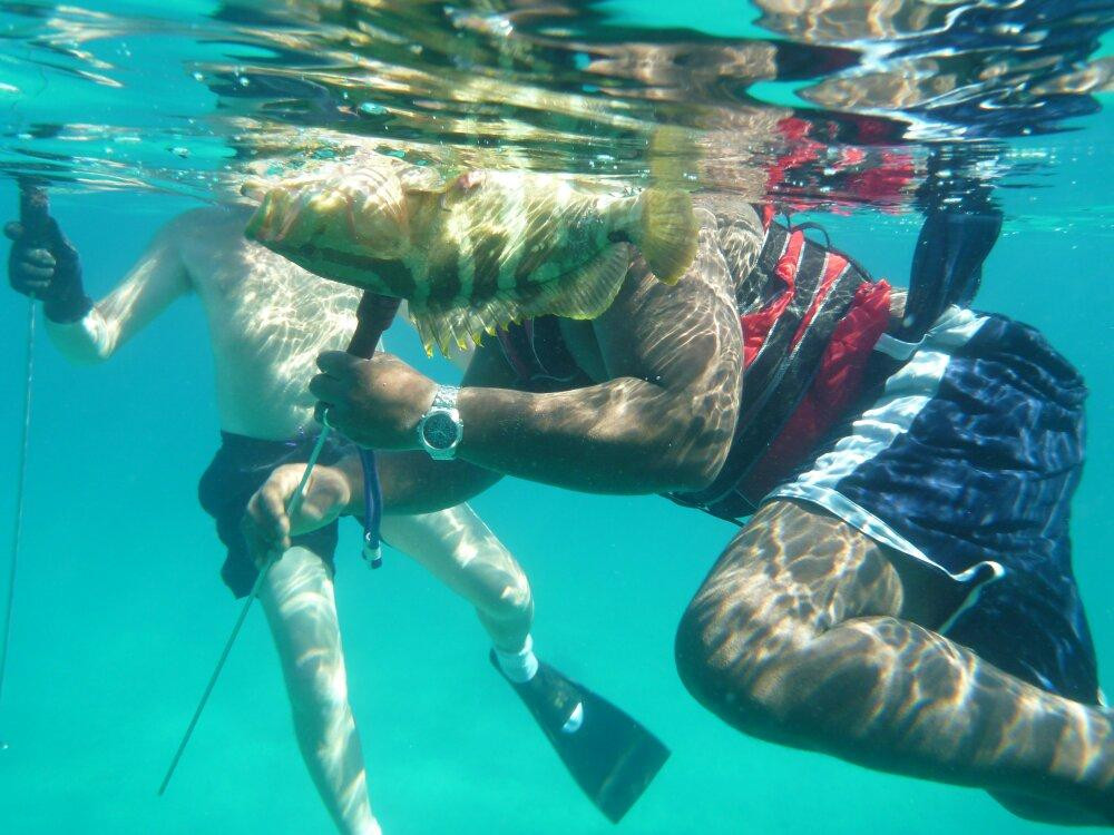 Fowl Cays National Park-Great Abaco Island必去景点