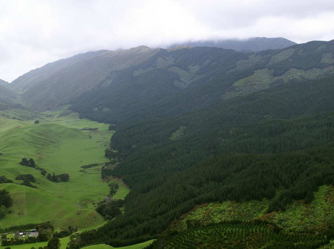 Battle Hill Farm Forest Park-Porirua必去景点