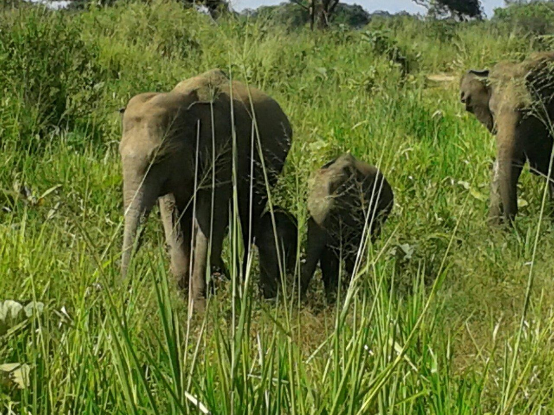 Fernando Adventure Safaries-哈巴拉娜必去景点