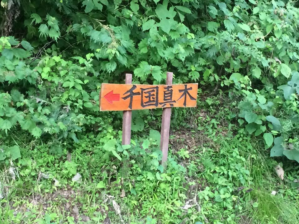 Maki Village景点图片