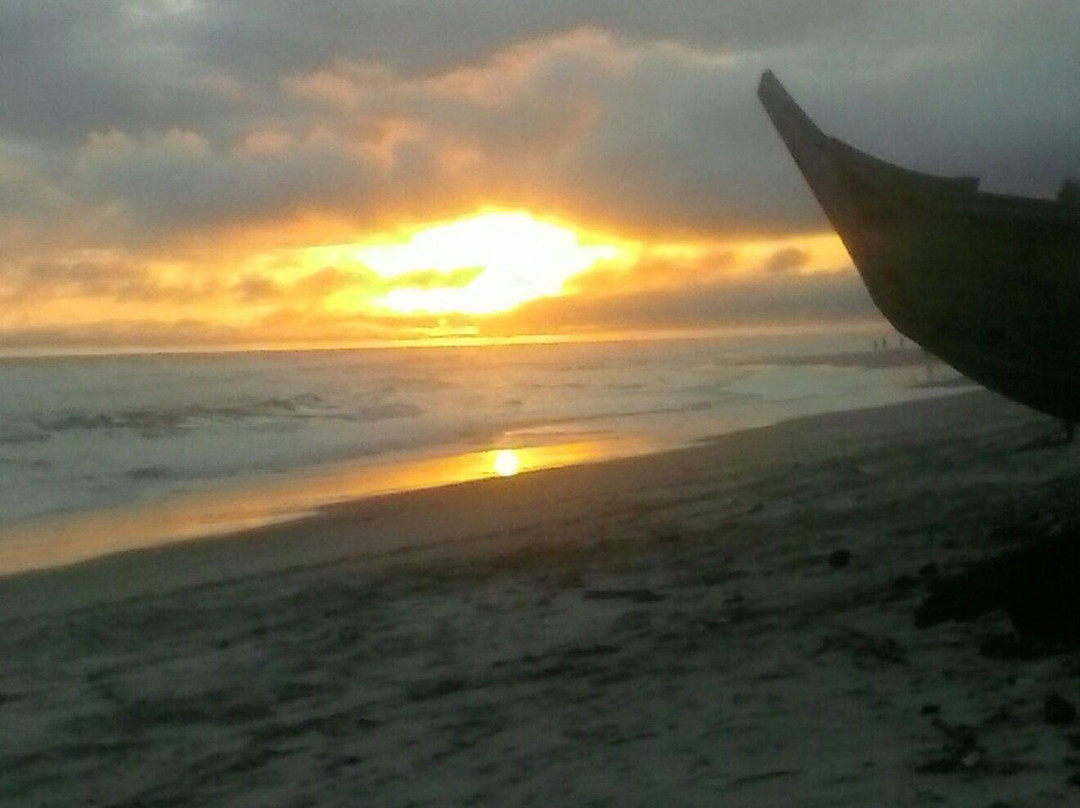 Les Paletuviers主图