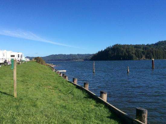 Port of Siuslaw Campground