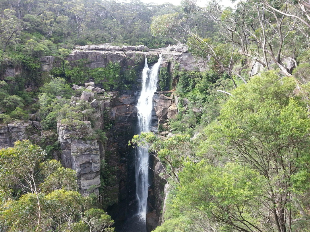Robertson旅游景点-Carrington Falls