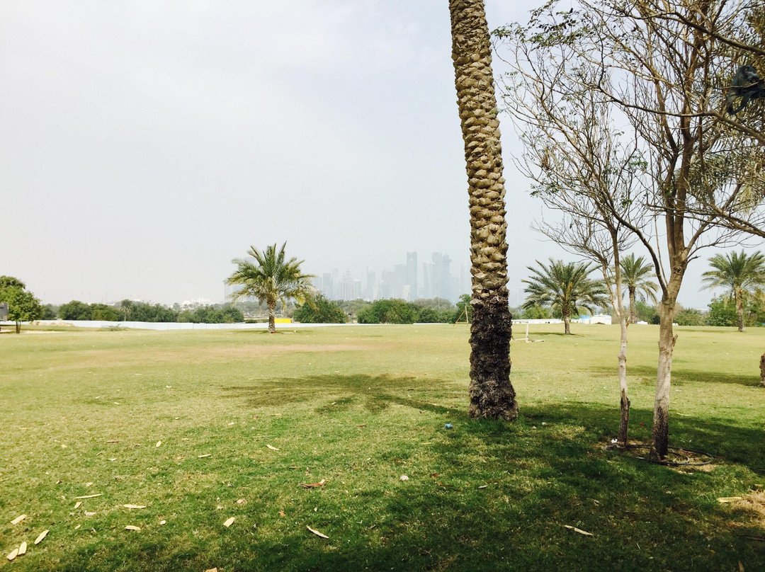 Al Wakrah Park景点图片