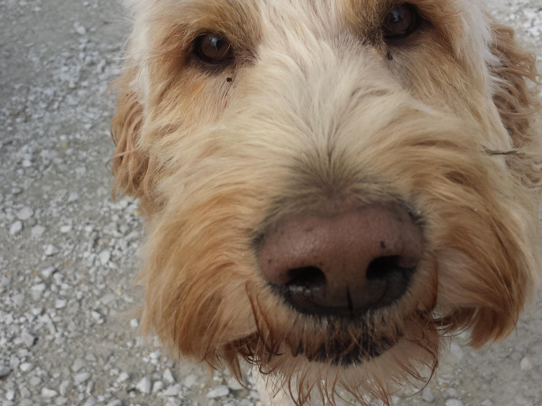 Brenton Arboretum-Dallas Center必去景点