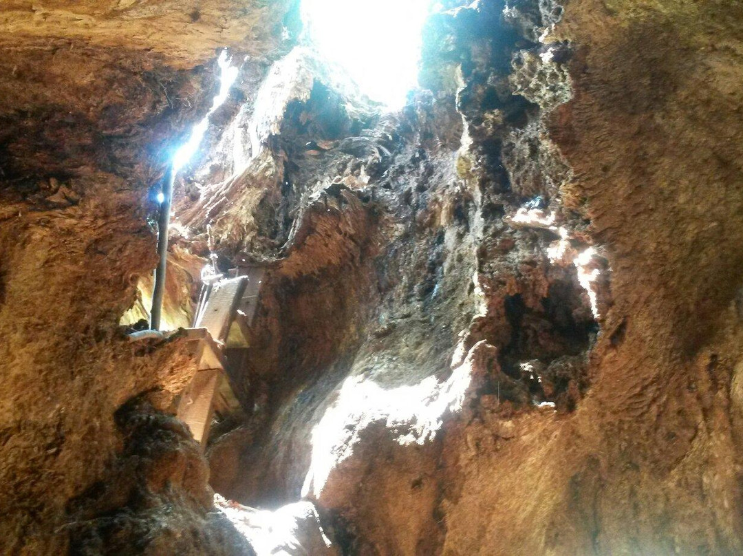 Sunland Baobab-Limpopo Province必去景点