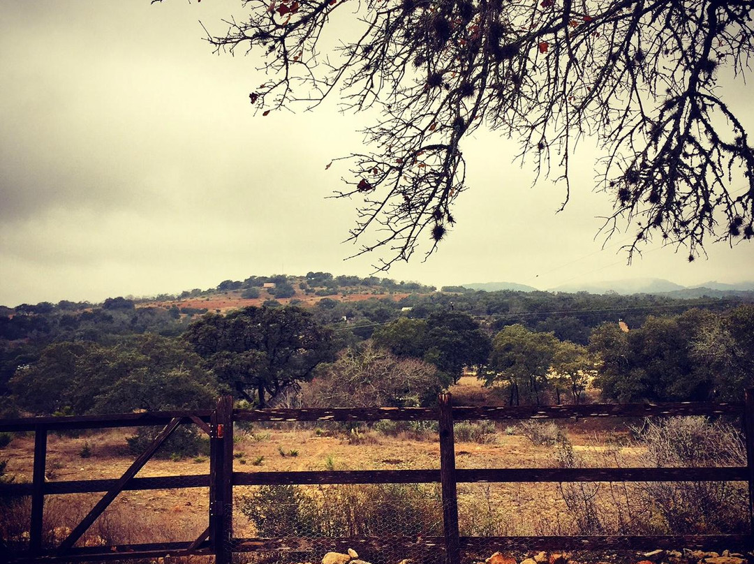 The Sugar & Spice Ranch