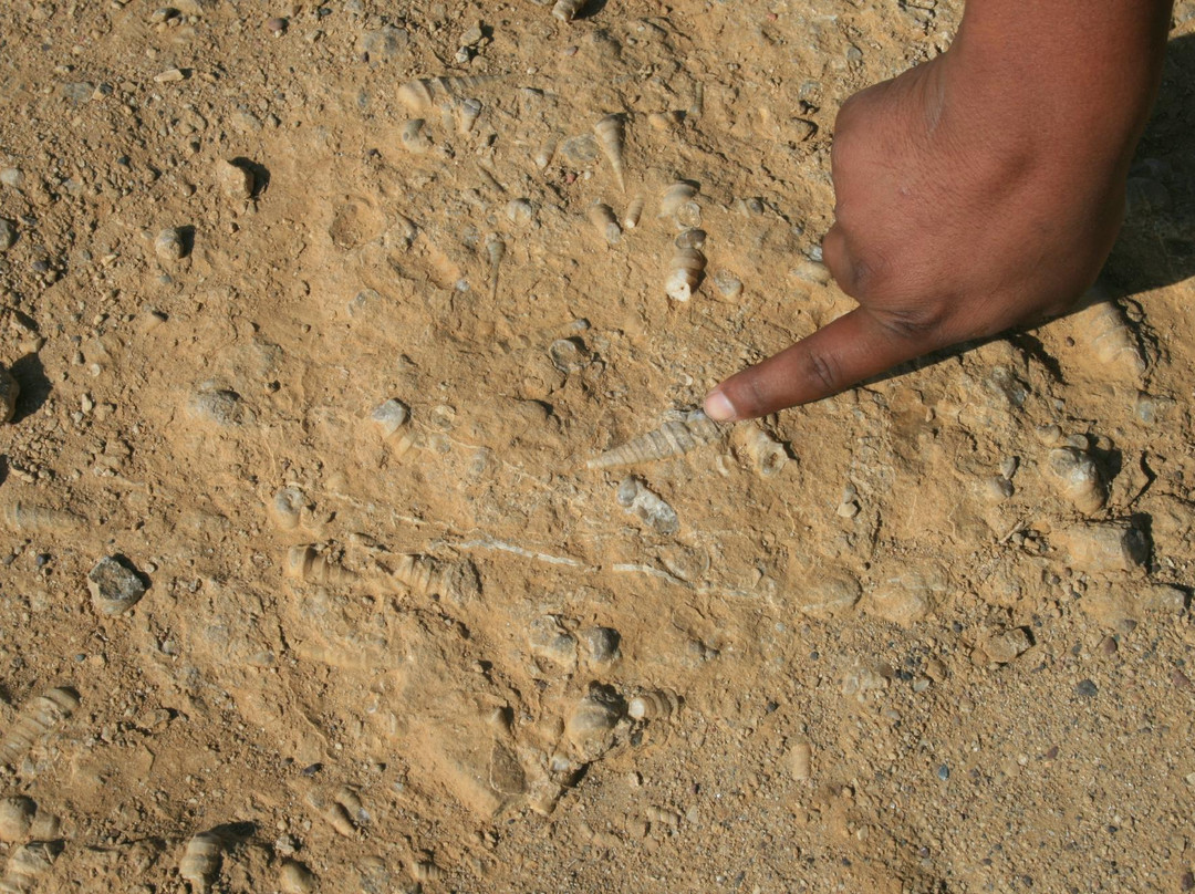 Freedom Park-帕拉卡斯必去景点