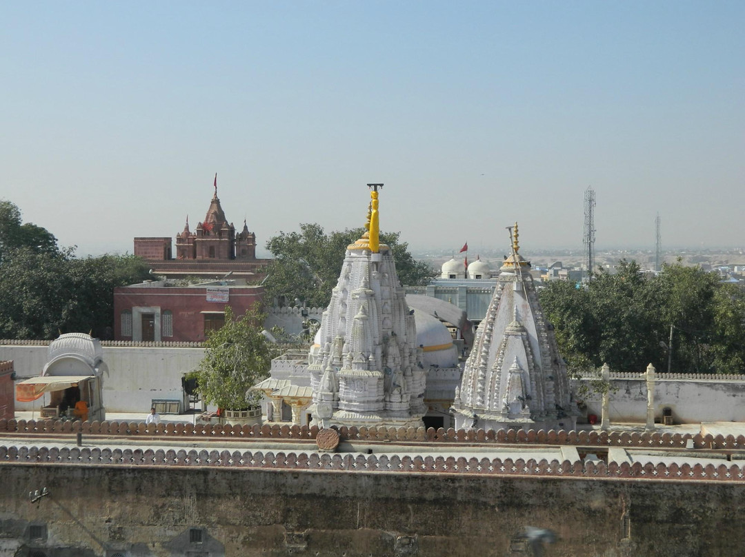 Shri Laxminath Temple景点图片