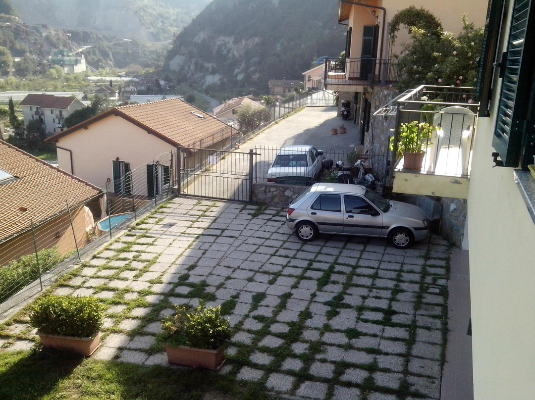 L'Erba degli Abrighi主图