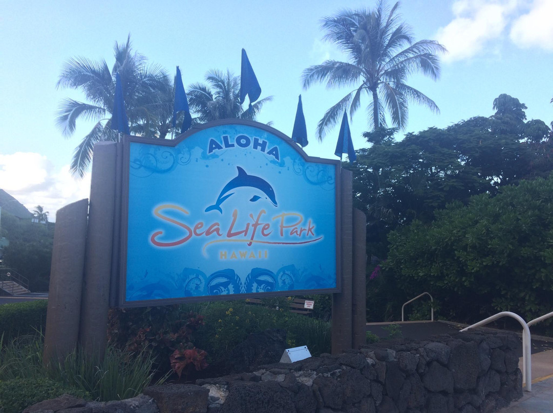 Sea Life Park Animal Encounters-威玛纳诺必去景点