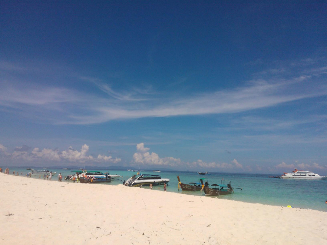 Asian Dolphins Day Tours-普吉镇必去景点