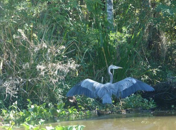Mandalay National Wildlife Refuge景点图片