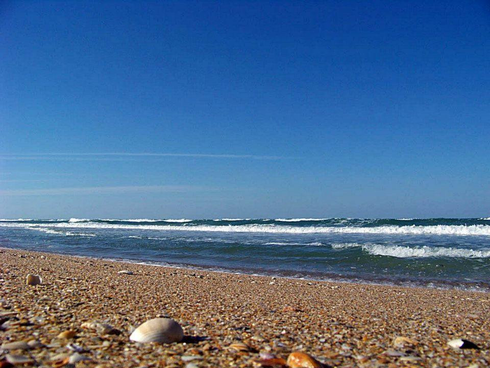 New Smyrna Town Beach景点图片