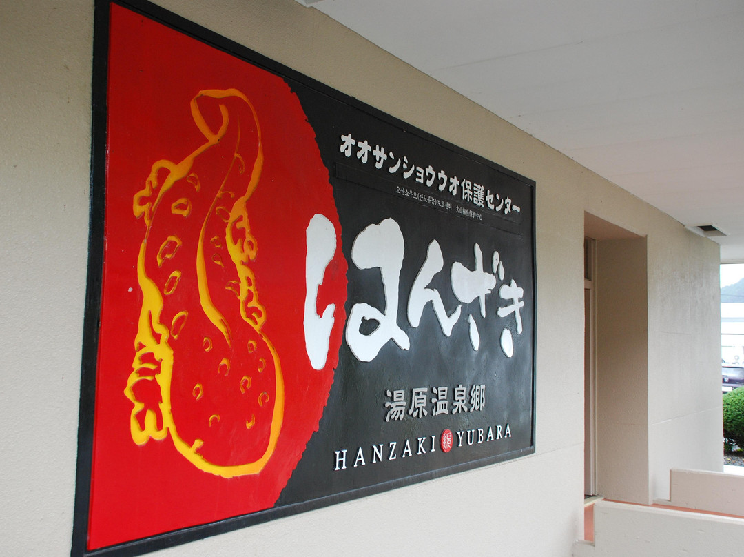Hanzaki Center景点图片