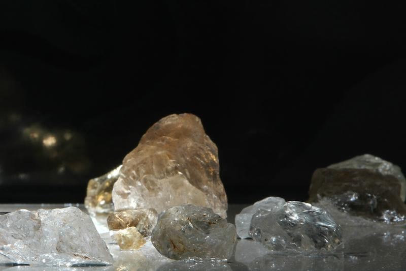 Museu de Arqueologia e Paleontologia (MAPA)-Araraquara必去景点