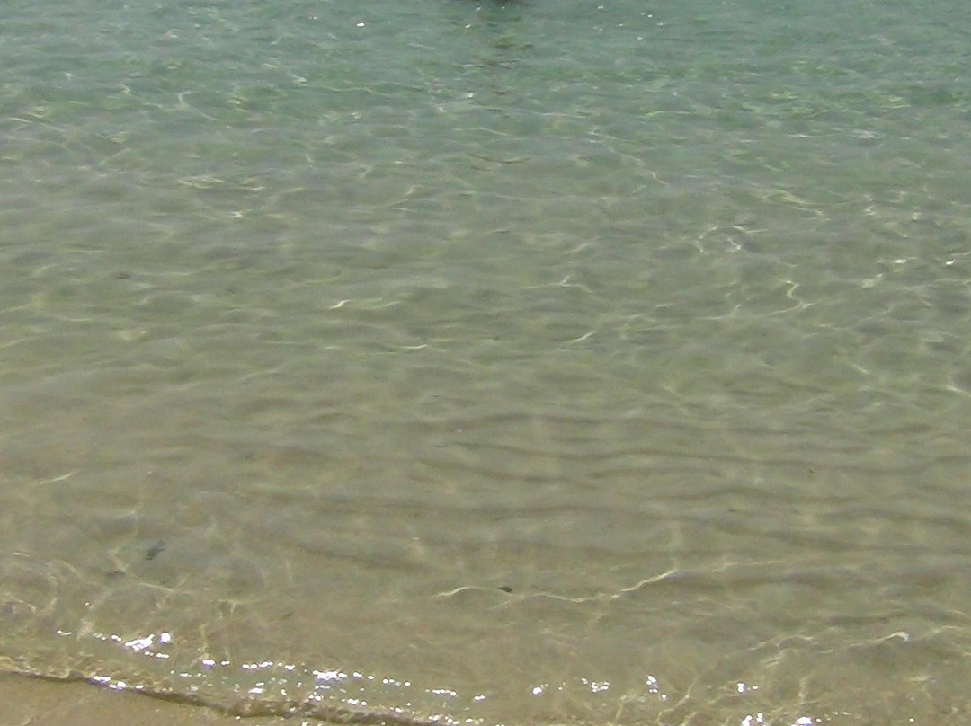 Spiaggia Bianca-Golfo Aranci必去景点