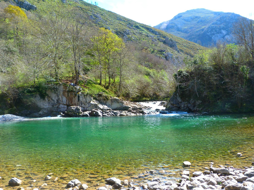 Cangas de Onis旅游攻略图片