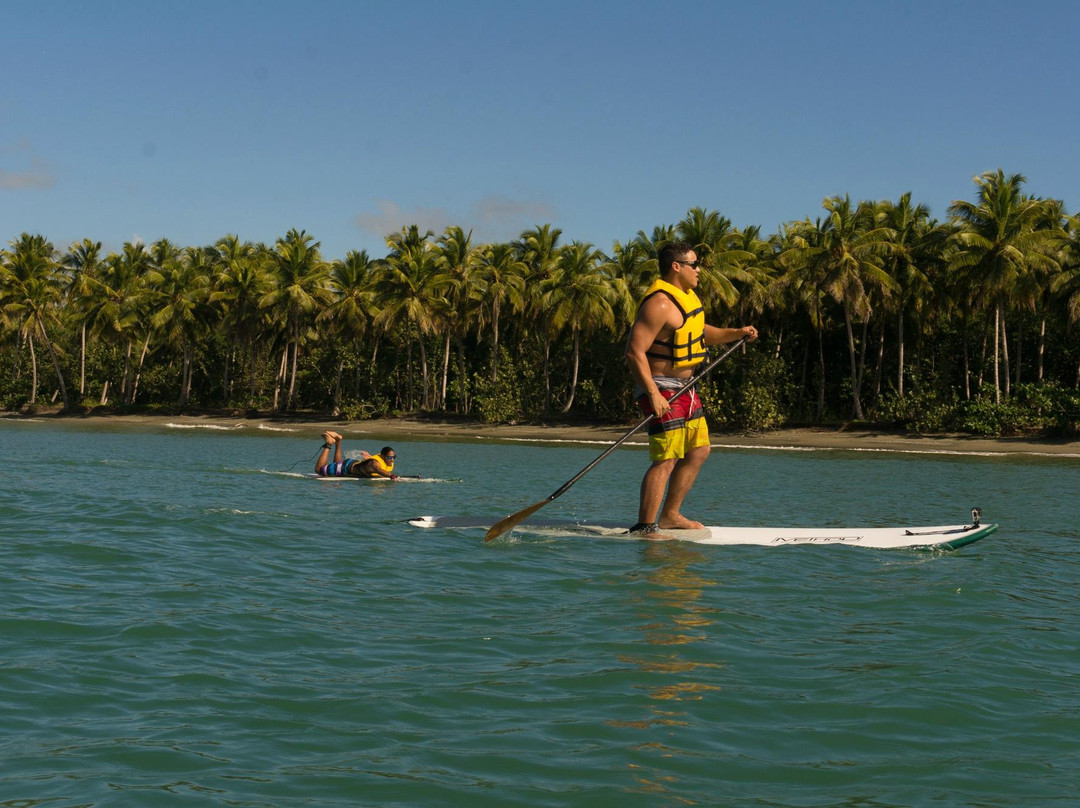 DR EcoAdventures-Rio San Juan必去景点