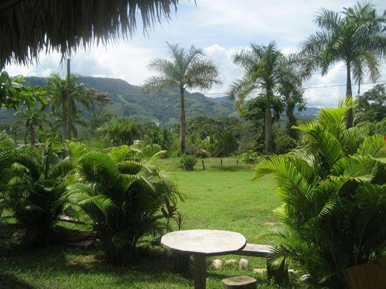 Hotel Nights Inn主图