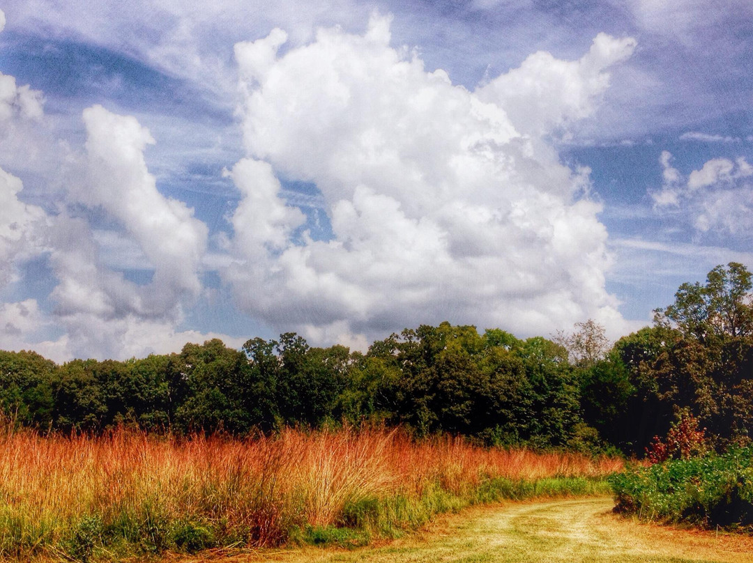 Strawberry Plains Audubon Center景点图片