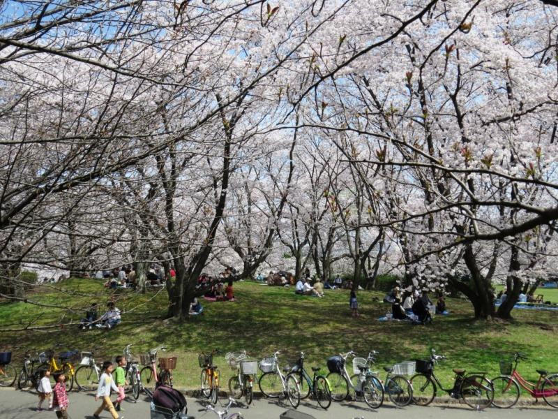 Oizumi Ryokuchi-坂井市必去景点
