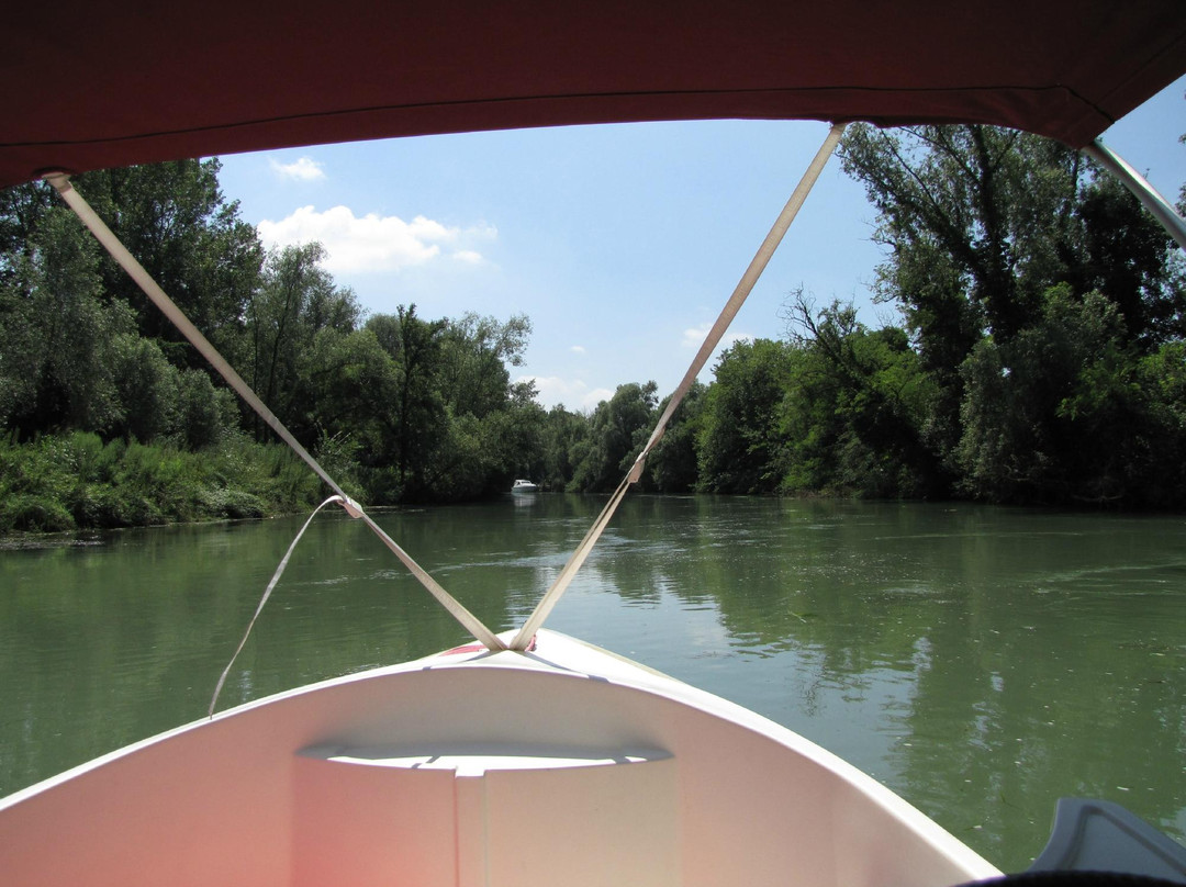 Barchiamo - Daily Boat Rentals景点图片