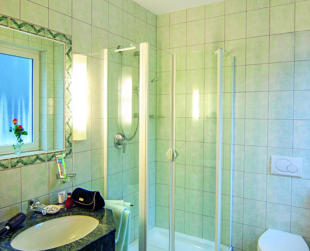 Hotel Zum Adler主图