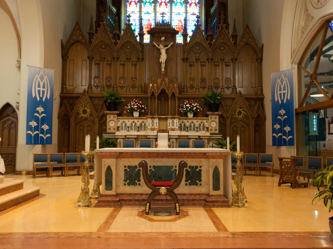 Cathedral of the Immaculate Conception-圣约翰必去景点