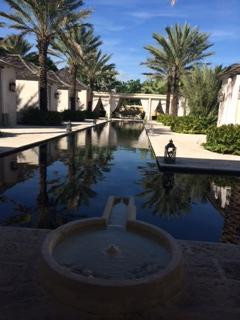 The Spa at The Palms-普罗维登西亚莱斯必去景点