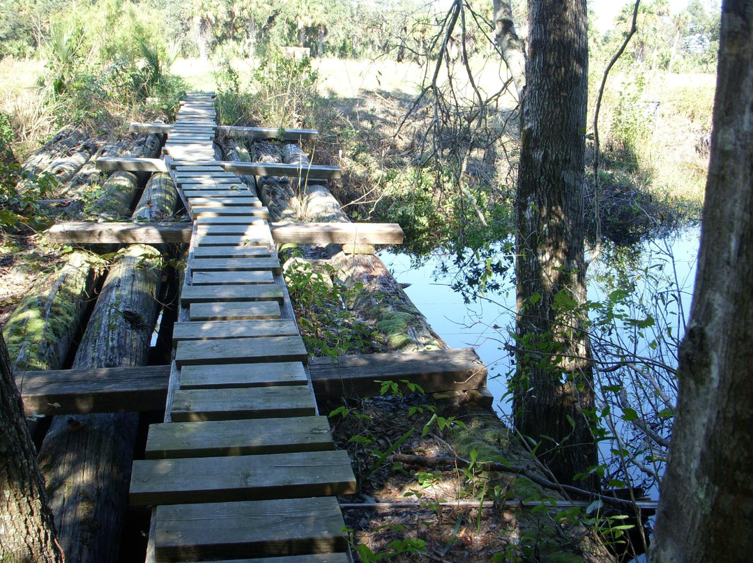 Tosohatchee State Reserve-Christmas必去景点