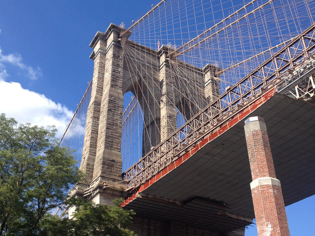 丹波区-布鲁克林必去景点