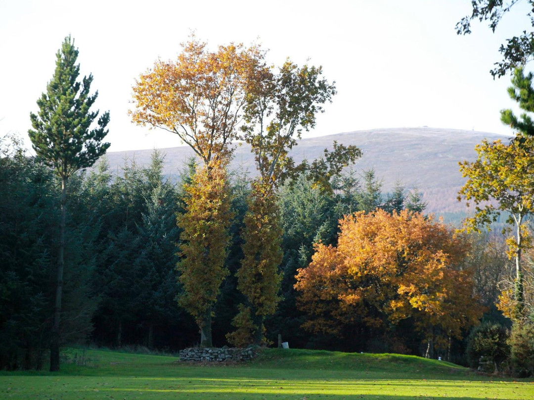 Carrigleade Golf Course