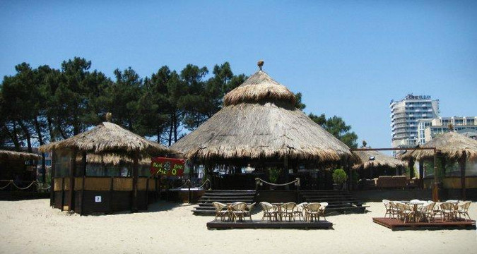 Mexo Bar-晴滩必去景点