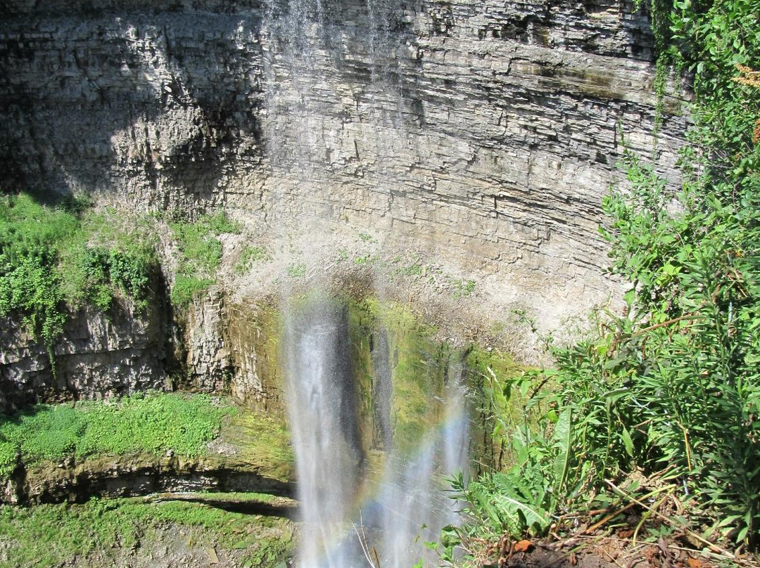 Tews Falls-邓达斯必去景点