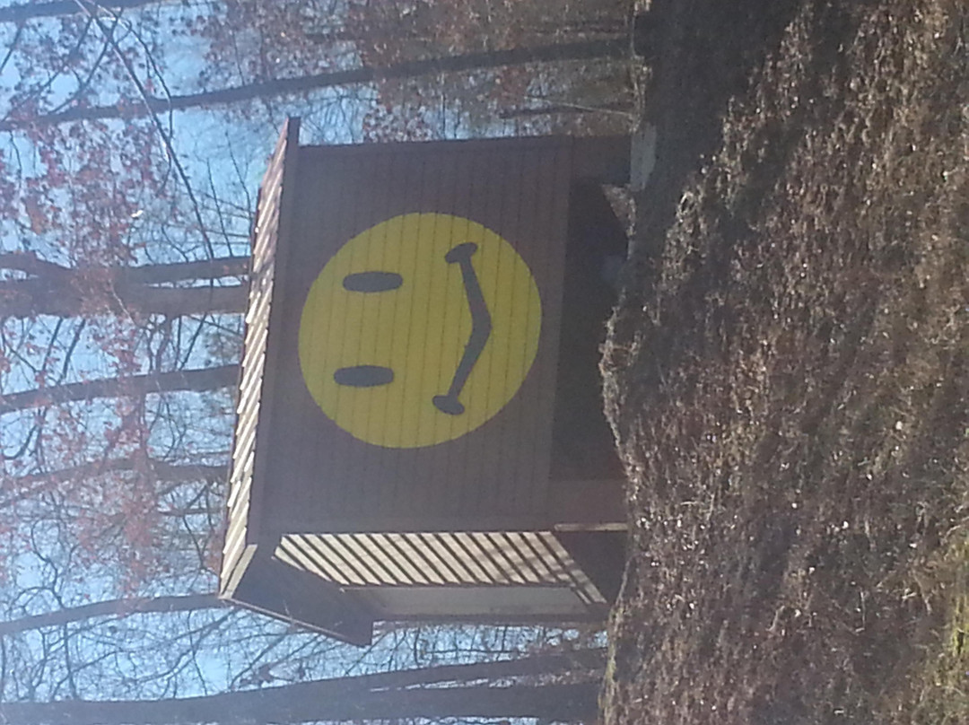 Southwood Inn Motel主图