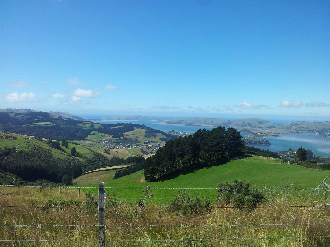 Bookatour-但尼丁必去景点