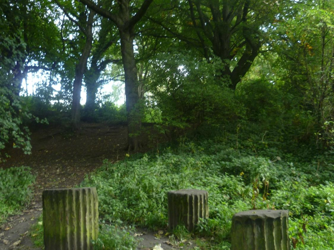 Heaton Park-纽卡斯尔必去景点