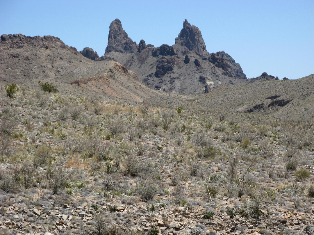 Mule Ears Spring Trail景点图片