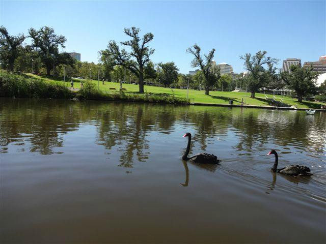 River Torrens Linear Park Trail景点图片