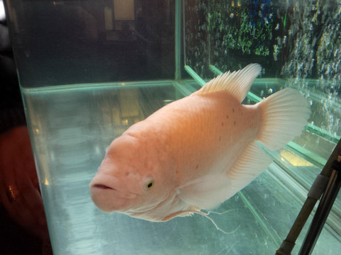 北京涵珍园国际酒店主图