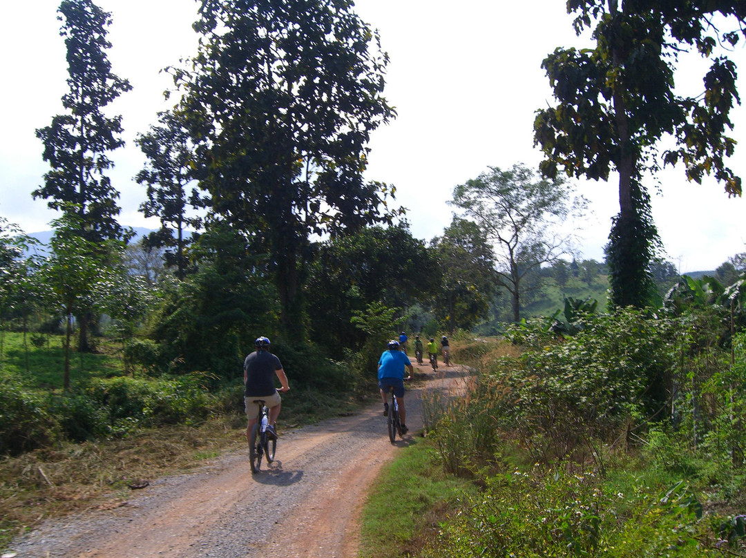 Chiang Rai Bicycle Tour-清莱必去景点