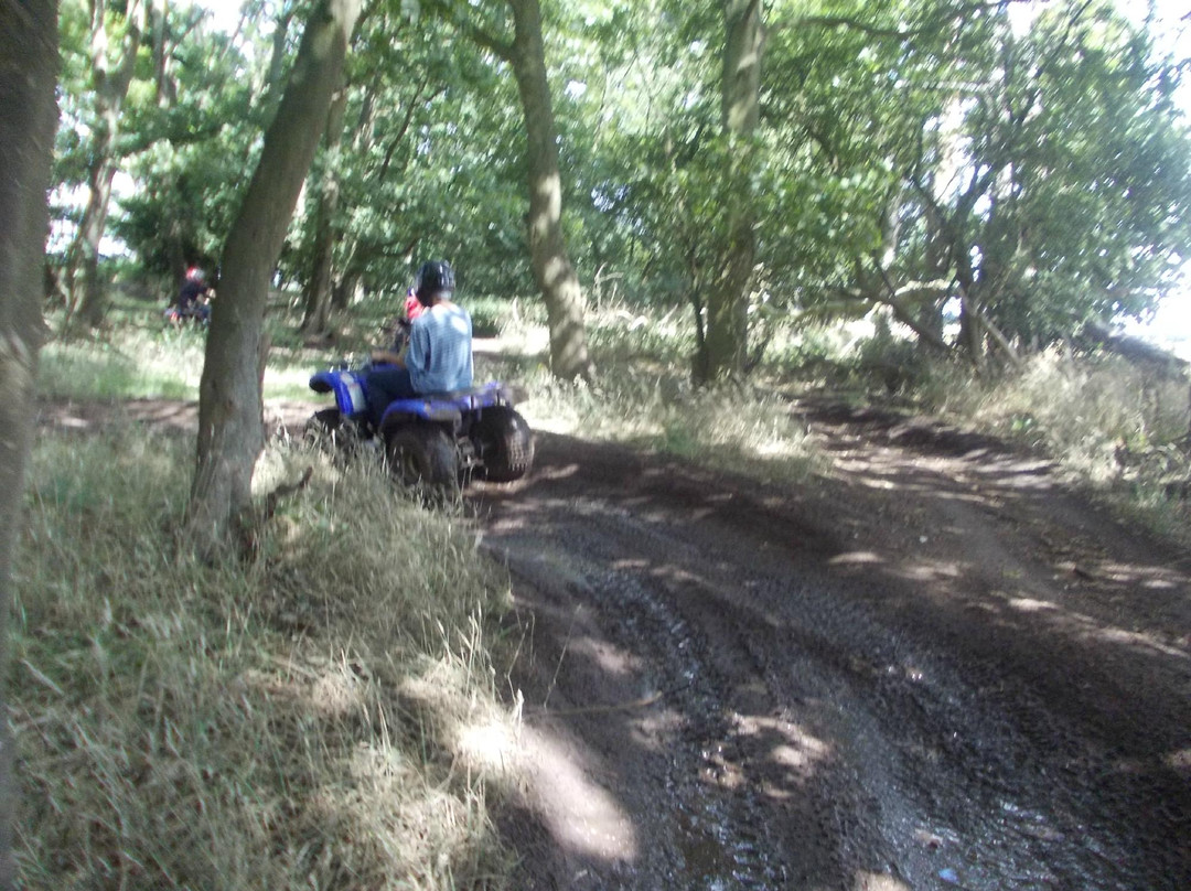 East Anglian Activities-Barnham必去景点