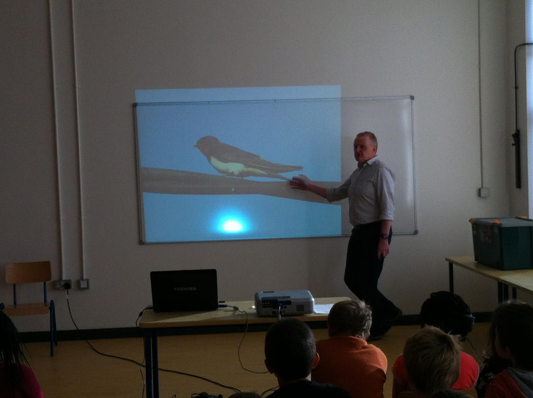 Birds Ireland Tours & Workshops景点图片