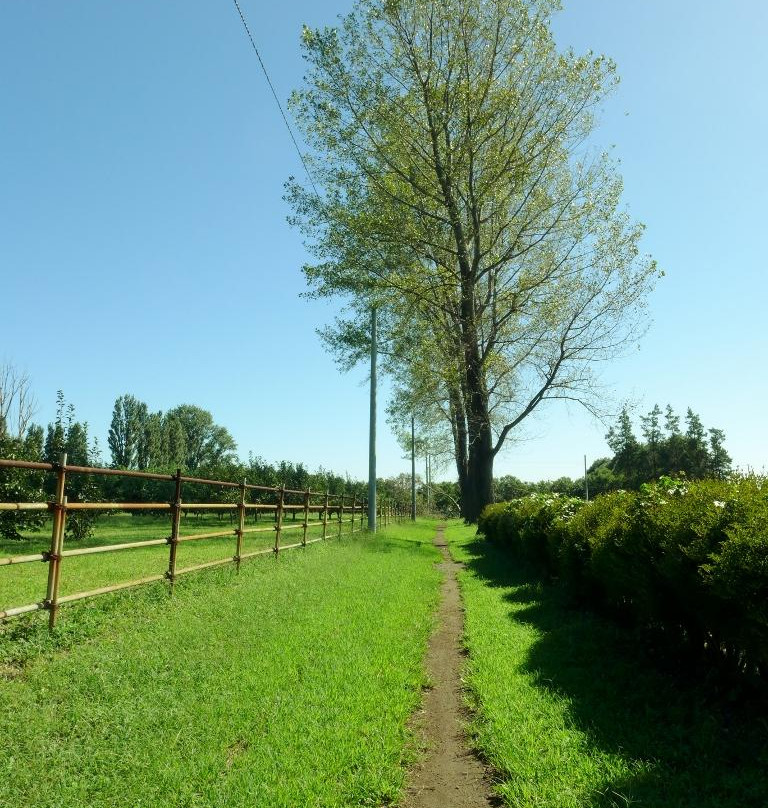 The University of Tokyo, Tanashi Forest-西东京市必去景点